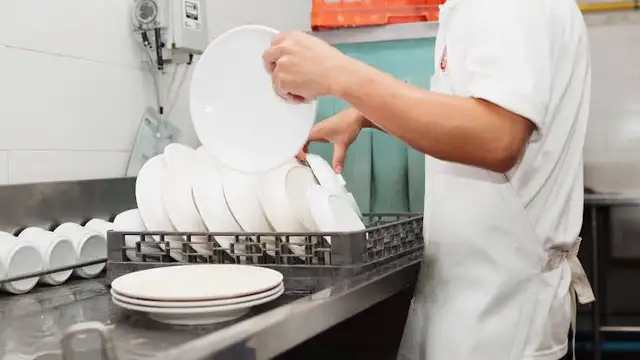 Dishwasher Needed