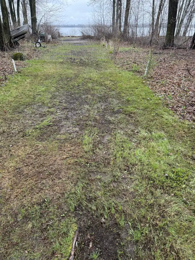 Landscaping & Grounds Maintenance Labourer - Photo 3