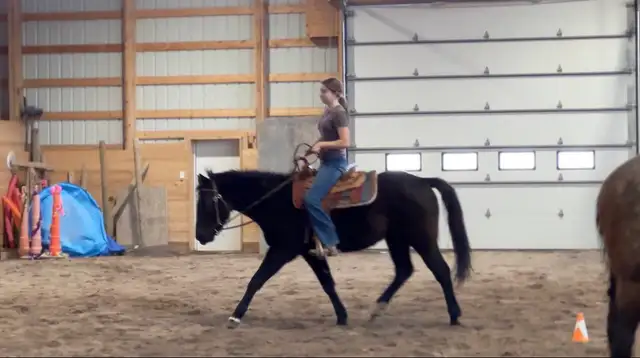 3 year old mare - Photo 4