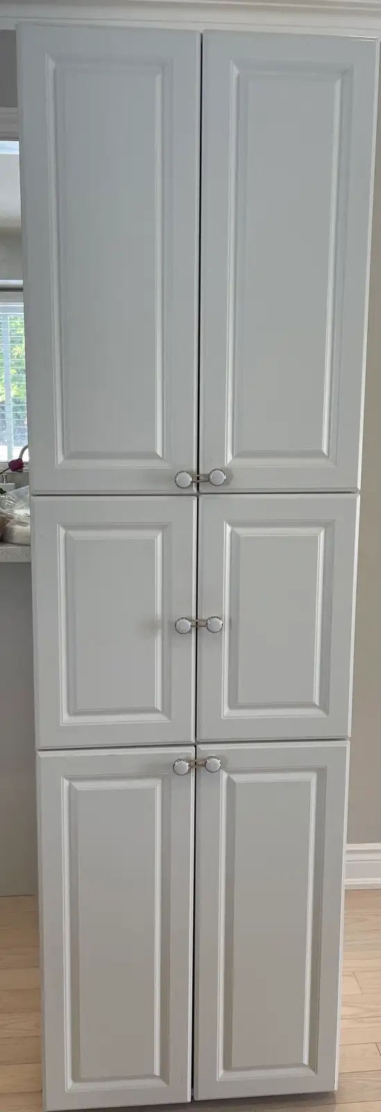 Cabinet $100