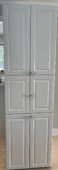 Cabinet $100