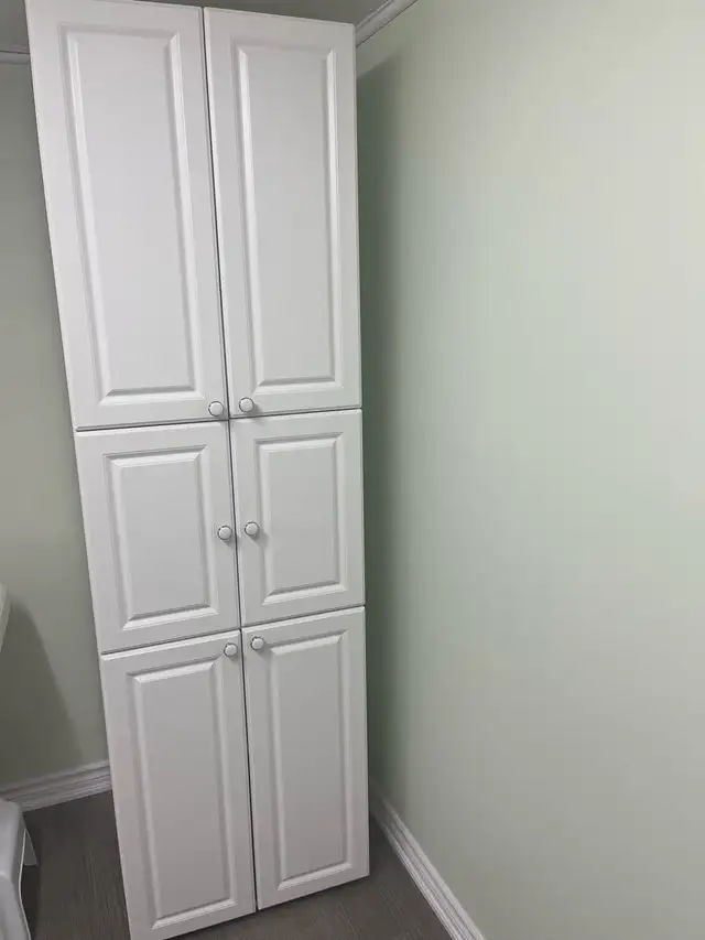 Cabinet $100 - Photo 2