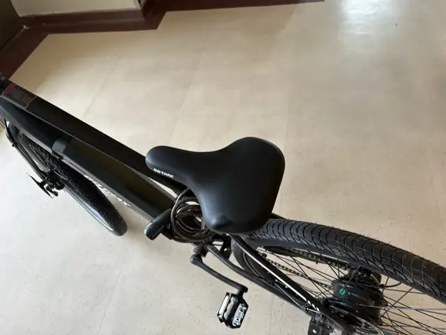 Canadian Built Bike - Photo 6