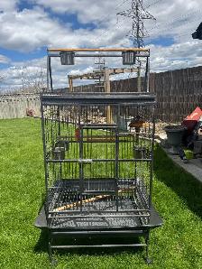 Parrot/Bird Cage