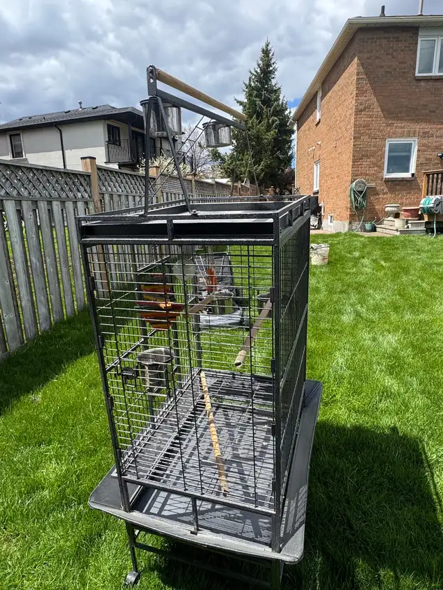 Parrot/Bird Cage - Photo 2