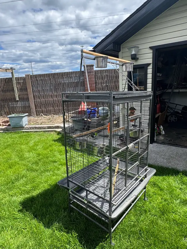 Parrot/Bird Cage - Photo 4