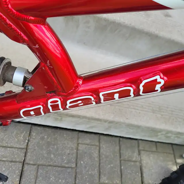 Giant Warp DS2 Full Suspension Mountain Bike - Photo 6