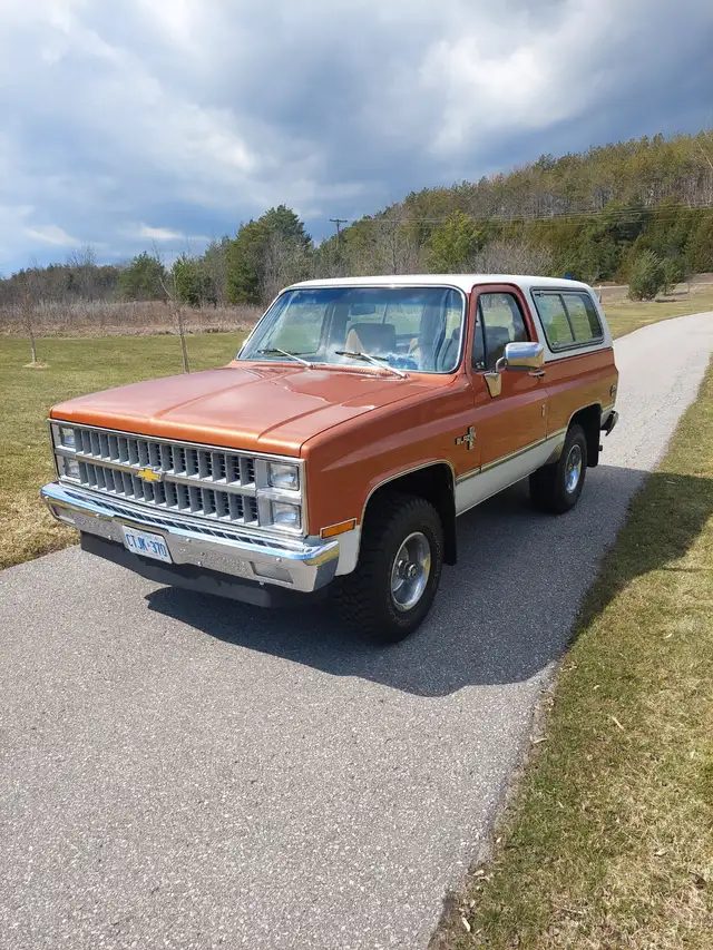 1981 Chevrolet K5 Blazer - Photo 2