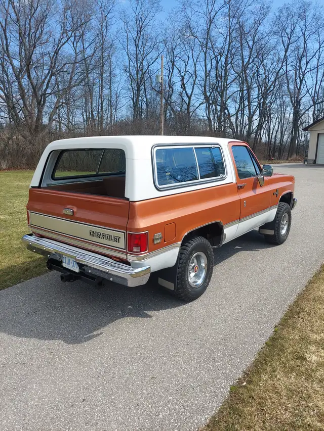 1981 Chevrolet K5 Blazer - Photo 3