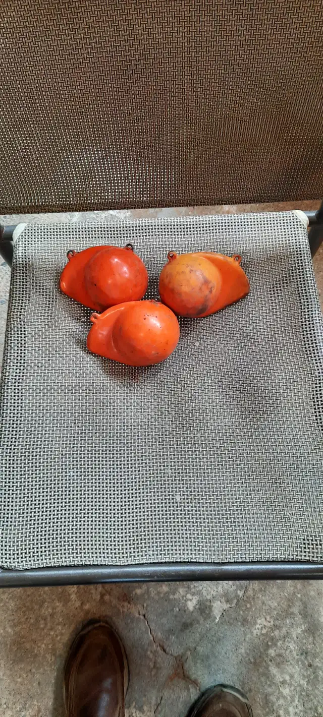 Downrigger  Balls.