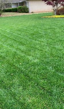 Seeking lawn mowing contracts-