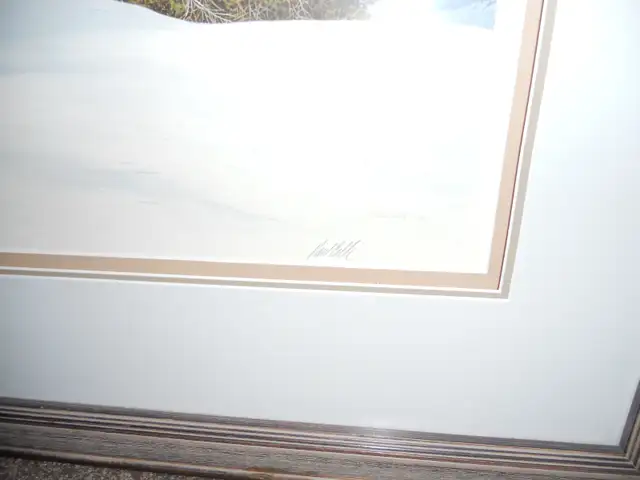 A PAUL CALLE FRAMED SIGNED 'INTO THE GREAT ALONE' NUMBERED PRINT - Photo 2