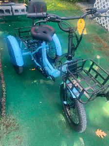 Electric Mooncool foldable bike