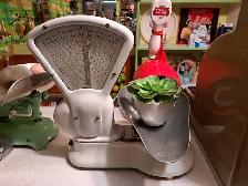 Antique Scales - Photo 2