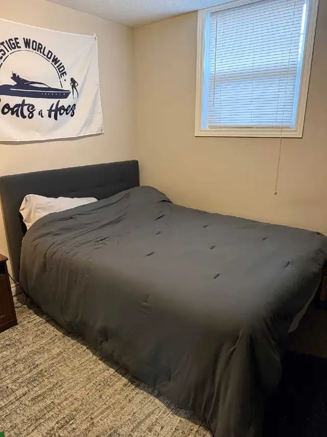 Endy Queen size mattress and bed framebe
