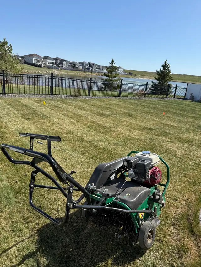 lawn care services - Photo 3