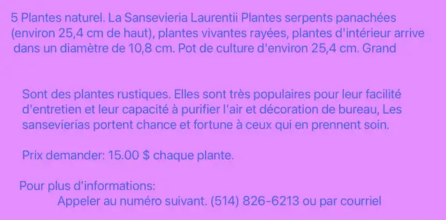 Plantes intérieur naturel - Photo 7