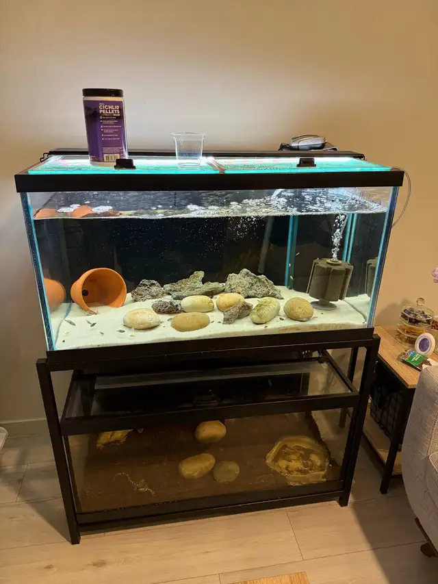 Fish tanks