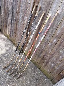 Hockey Sticks