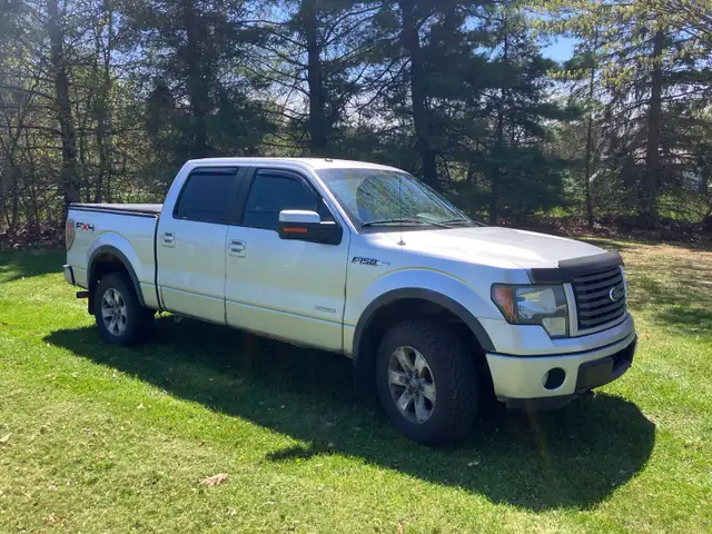 2011 Ford F150 FX4 - Photo 2