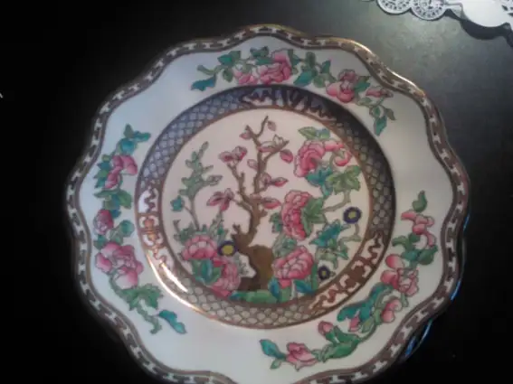 Coalport Indian Tree - Photo 5