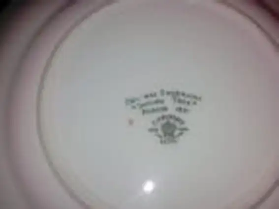 Coalport Indian Tree - Photo 8