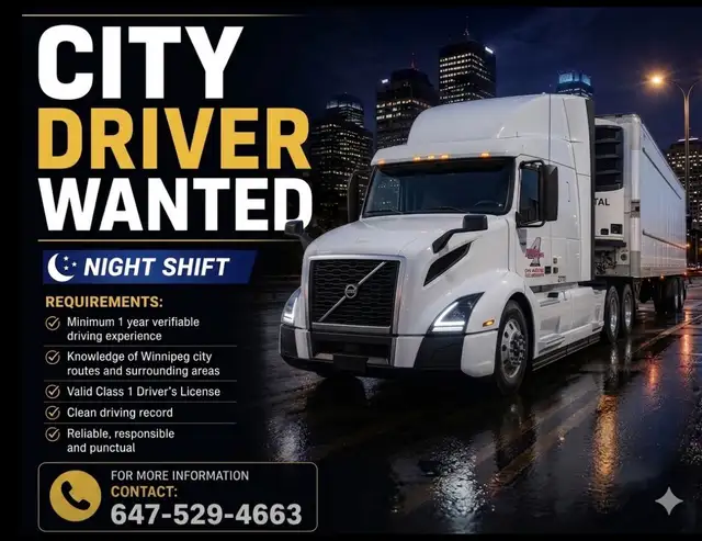 CITY DRIVER