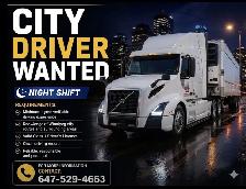 CITY DRIVER