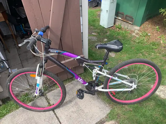 Mountain bike