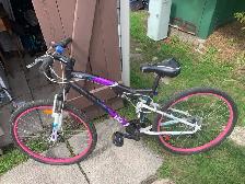 Mountain bike
