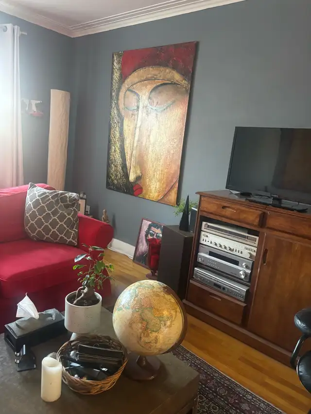 51/2  Quartier Rosemont - Photo 7