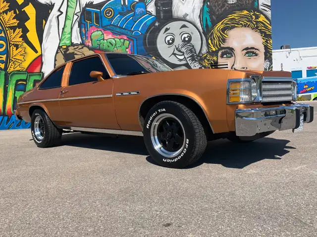 1978 BUICK SKYLARK - Photo 2