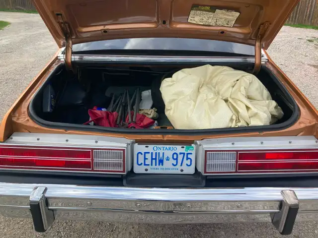1978 BUICK SKYLARK - Photo 5