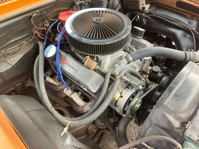 1978 BUICK SKYLARK - Photo 6