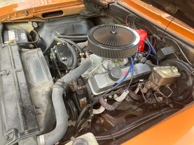 1978 BUICK SKYLARK - Photo 7