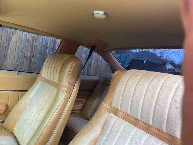 1978 BUICK SKYLARK - Photo 8