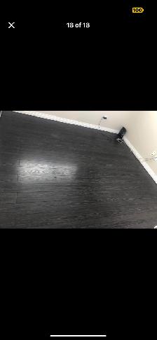 $1200 ALL IN – 2 BEDROOM BASEMENT (UTILITIES   WIFI INCLUDED)