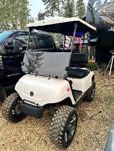 All inclusive Trailer and seasonal Rv Lot , fully upgraded - Photo 3