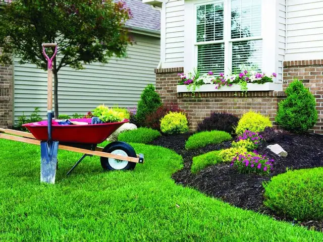 Landscaping, Lawncare, Lawncare and MORE!
