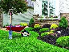 Landscaping, Lawncare, Lawncare and MORE!