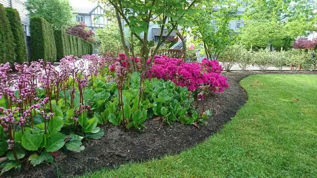 Landscaping, Lawncare, Lawncare and MORE! - Photo 3