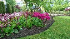 Landscaping, Lawncare, Lawncare and MORE! - Photo 3