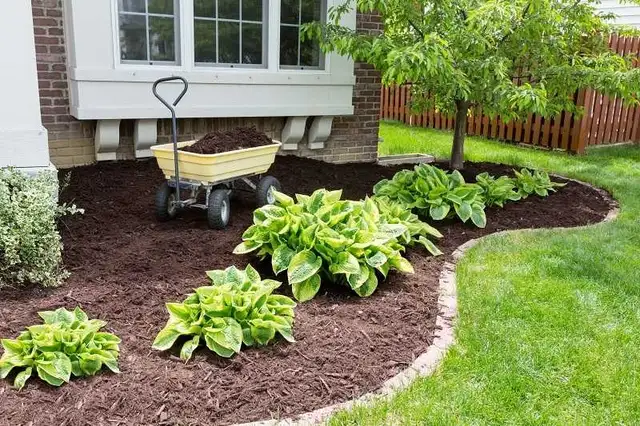 Landscaping, Lawncare, Lawncare and MORE! - Photo 4