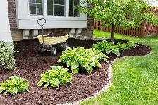Landscaping, Lawncare, Lawncare and MORE! - Photo 4