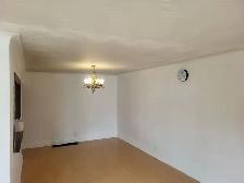 Main Level House for Rent