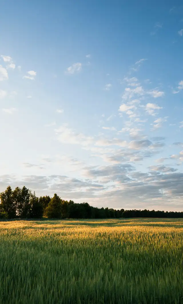 COUNTRY PROPERTY OR FARM?  FREE HELP