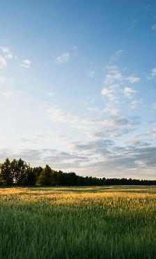 COUNTRY PROPERTY OR FARM?  FREE HELP