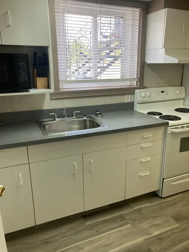 4734-50 st Vegreville unit 4 - Photo 5