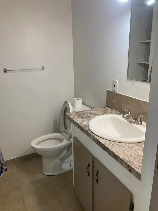 4734-50 st Vegreville unit 4 - Photo 6