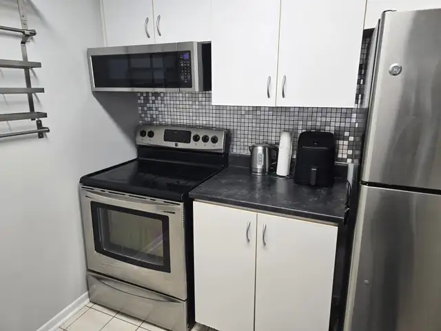 2 Bedroom 2 Bathroom Downtown Condo - Photo 3